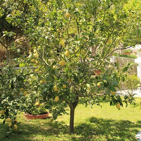 Casa Augusto Bed and breakfast Capri