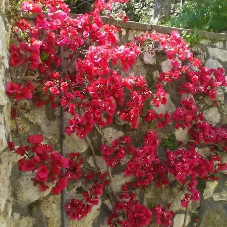 Casa Augusto Bed & Breakfast Capri