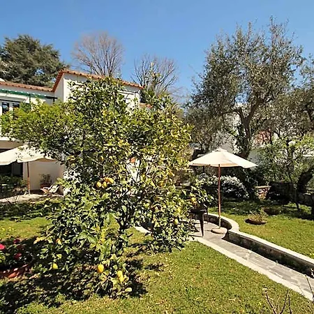 Alojamento de Acomodação e Pequeno-almoço Casa Augusto Capri
