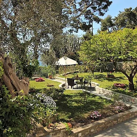 Casa Augusto Alojamento de Acomodação e Pequeno-almoço
