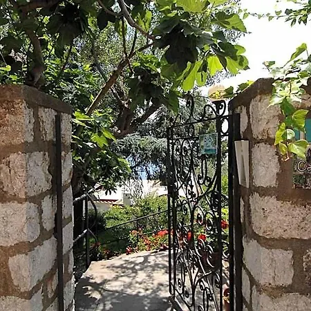 Alojamento de Acomodação e Pequeno-almoço Casa Augusto