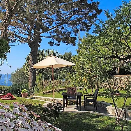 Casa Augusto Alojamento de Acomodação e Pequeno-almoço