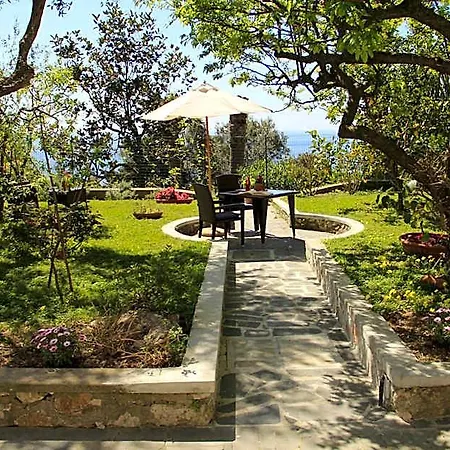 Casa Augusto Alojamento de Acomodação e Pequeno-almoço 4*