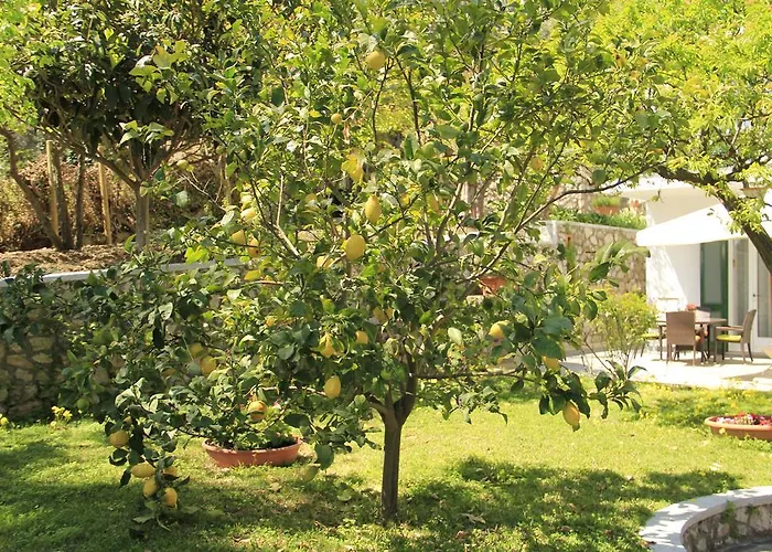 Bed and breakfast Casa Augusto 4*