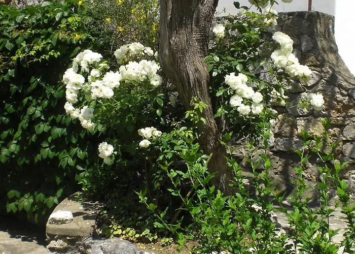 Bed and breakfast Casa Augusto