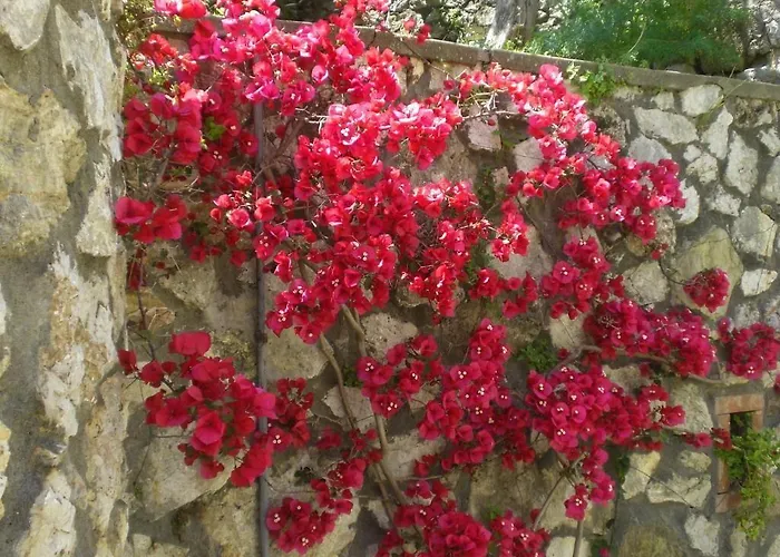 Casa Augusto לינה וארוחת בוקר קאפרי