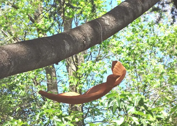 Bed and breakfast Casa Augusto Capri