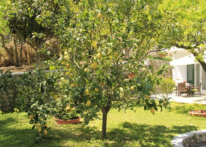 Casa Augusto Отель типа 